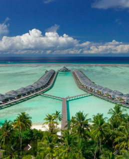 Maldív sziget